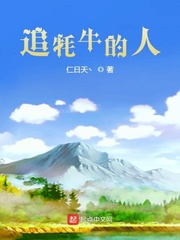 追牦牛的人